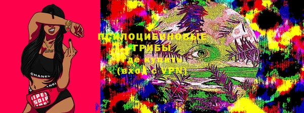 ПСИЛОЦИБИНОВЫЕ ГРИБЫ Лиски