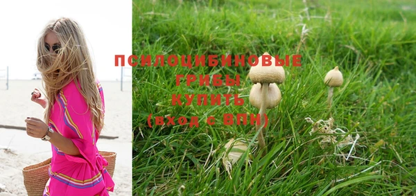 крисы Липки