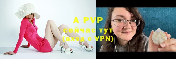 ПСИЛОЦИБИНОВЫЕ ГРИБЫ Лиски