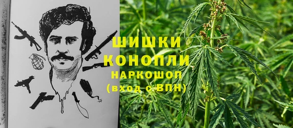 гидра Лихославль