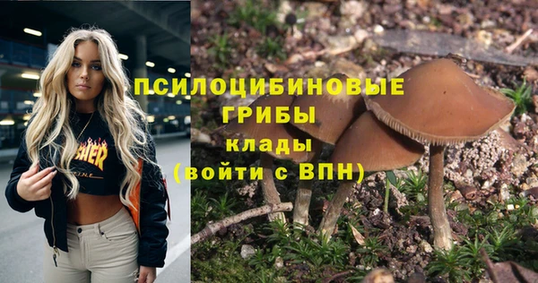 ПСИЛОЦИБИНОВЫЕ ГРИБЫ Лиски