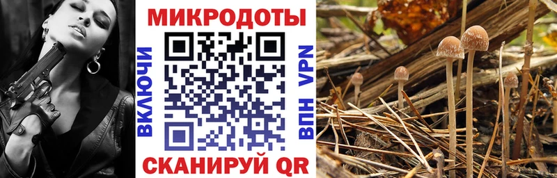 Галлюциногенные грибы Magic Shrooms  Купить закладки  Тогучин 